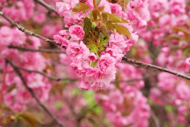 嘉兴海宁线下个人借款平台一站式服务，轻松解决资金难题