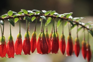 嘉兴海宁零用贷短借：轻松解决临时资金需求