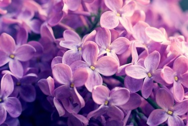 嘉兴海宁企业急用钱贷款攻略：快速融资解燃眉之急